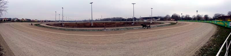 Al Piniolo trainiert auf der Trabrennbahn in Berlin-Karlshorst