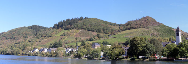 Blick von der Alf-Fähre auf Bullay