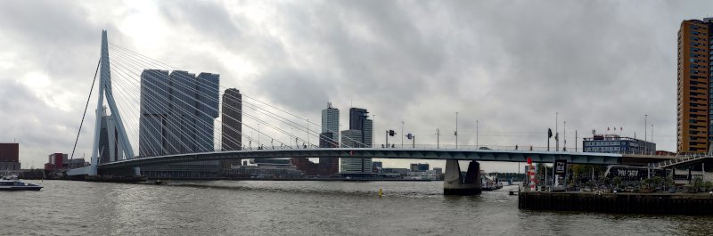 Die Erasmusbrücke überspannt die Neue Maas in Rotterdam