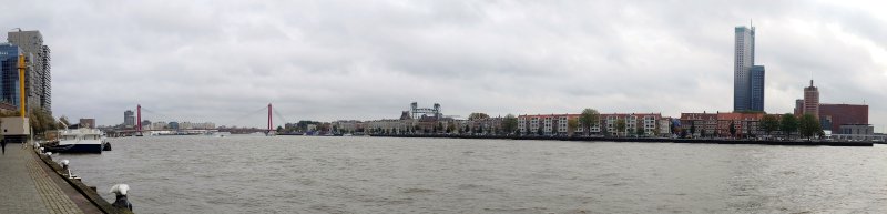 Blick über die Neue Maas auf die Willemsbrücke in Rotterdam