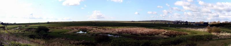 Husum - Blick von der Dockkoogstraße über den Koog Husum - Blick von der Dockkoogstraße über den Koog