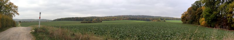 Die Mühle ist von Wiesen und Feldern umgeben