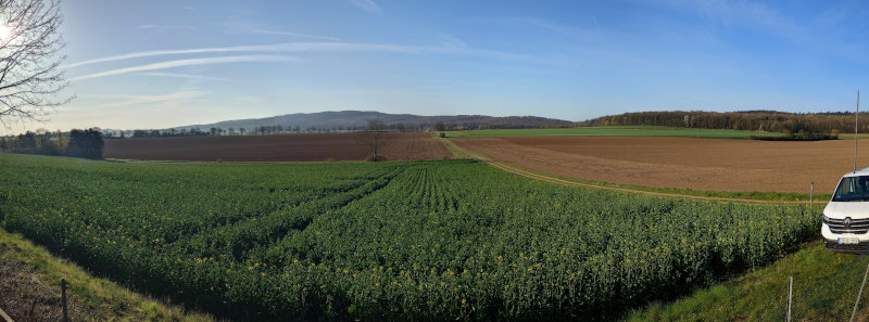 Blick aus dem Wanderheim über die Felder