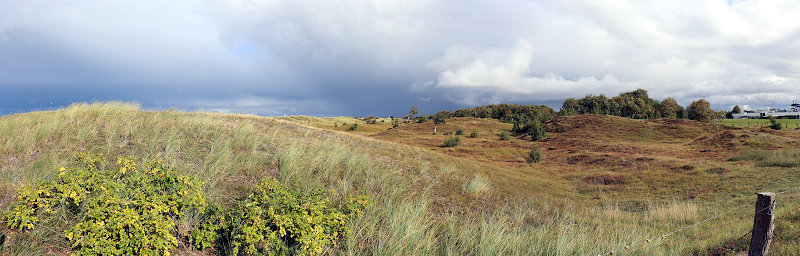 Dünen am Weissenhäuser Strand