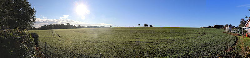 Blick über die Felder in Wangels
